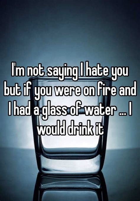 I'm not saying I hate you, but if you were on fire and I had water, I'd drink it.